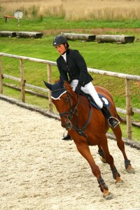 Top 4 Signs Your Arena Footing May Require an Amendment